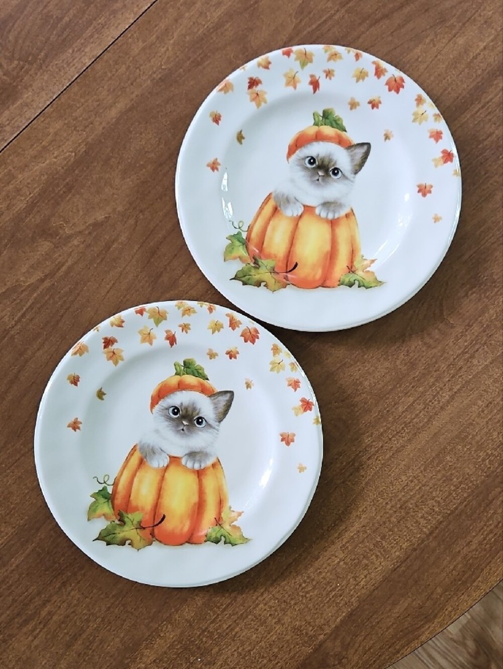 Pier 1 Cat in a Pumpkin Fall Salad/Lunxh Plates 8.5" - Set of 2 - Picture 3 of 9